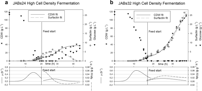 Bacillus Subtilis High Cell Density Fermentation Using A Sporulation Deficient Strain For The Production Of Surfactin Springerlink