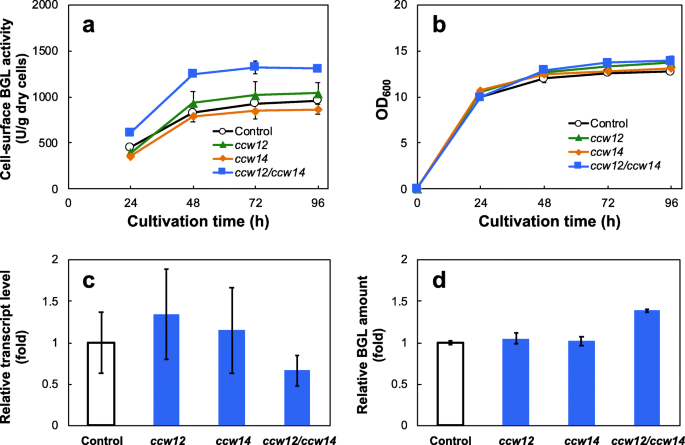Improving The Functionality Of Surface Engineered Yeast Cells By Altering The Cell Wall Morphology Of The Host Strain Springerlink
