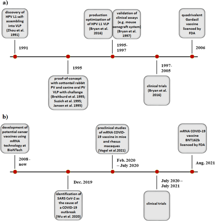 Optimization of an Experimental Vaccine To Prevent Escherichia