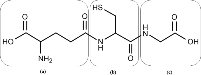 glutathione and vitamin c side effects Glutathione production by Saccharomyces cerevisiae: current state and  perspectives | Applied Microbiology and Biotechnology