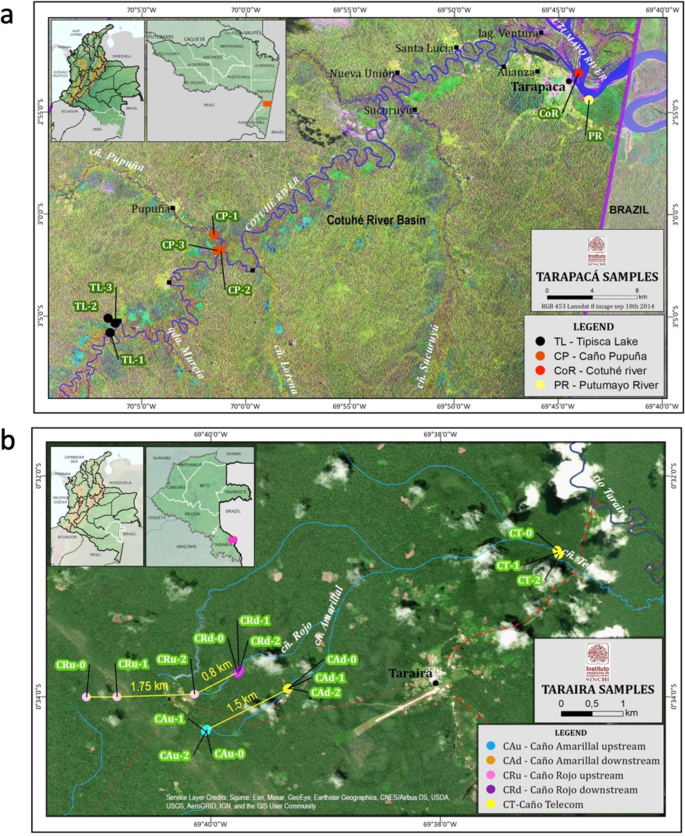Highly mercury-resistant strains from different Colombian Amazon ecosystems  affected by artisanal gold mining activities | SpringerLink