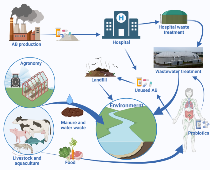 Rapid growth of antimicrobial resistance: the role of agriculture in the problem and the solutions | SpringerLink