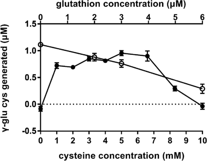 Characterization of GshAB of Tetragenococcus halophilus: a two-domain  glutathione synthetase | Applied Microbiology and Biotechnology | Springer  Nature Link