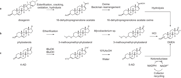 scheme 1