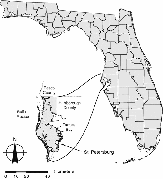 Hillsborough County Sinkhole Map