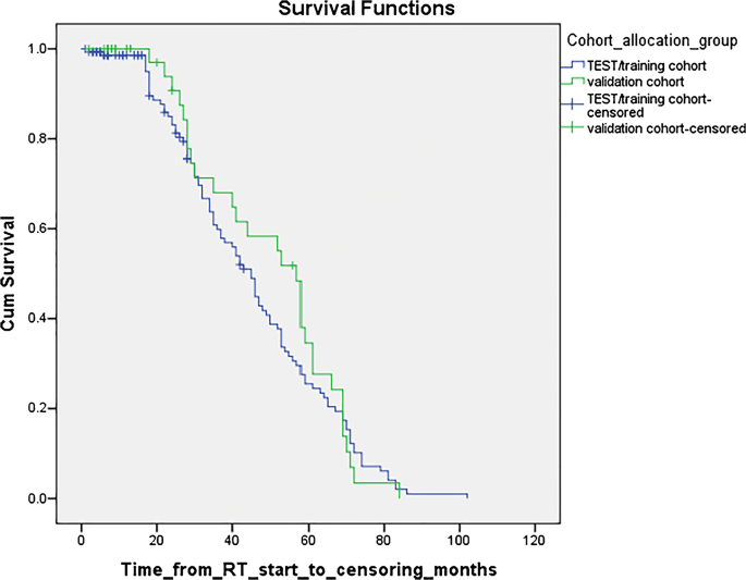 Prediction of outcome in anal squamous cell carcinoma using ...