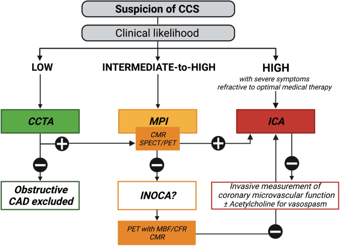 Frontiers  Multi-Modality Imaging in Dilated Cardiomyopathy: With a Focus  on the Role of Cardiac Magnetic Resonance