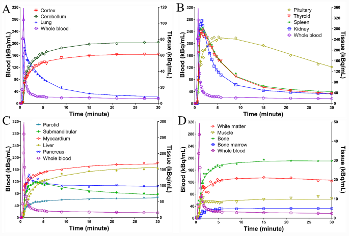 Total-body dynamic PET/CT imaging reveals kinetic distribution of [13N ...
