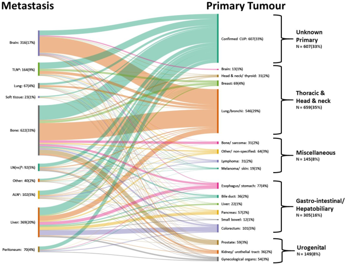Identifying the primary tumour in patients with cancer of unknown ...