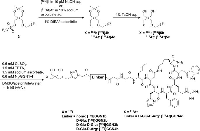 An 211At-labeled alpha-melanocyte stimulating hormone peptide analog ...