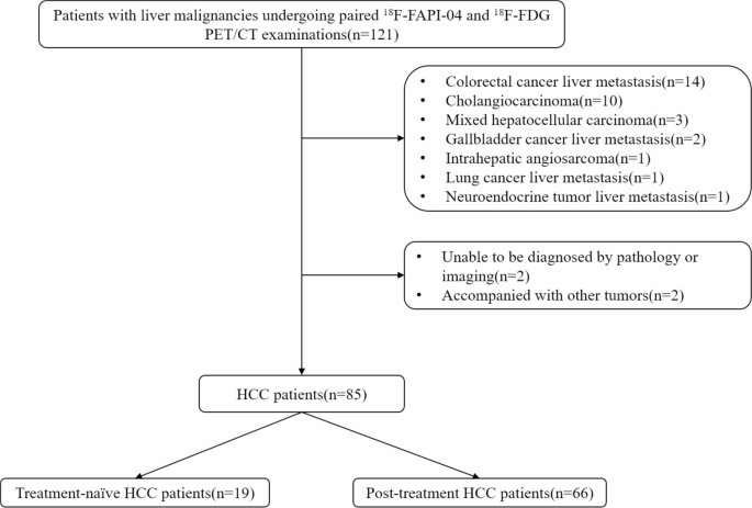 The diagnostic value of 18 F-FAPI-04 PET/CT in unresectable ...