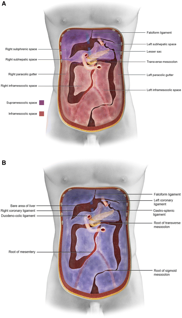 Peritonealis rákindex pci),