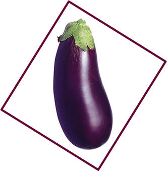 The Eggplant Penis Sign Springerlink