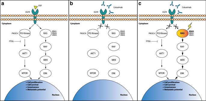 Download Quantitative Imaging Driver Download Quantitative Imaging Driver