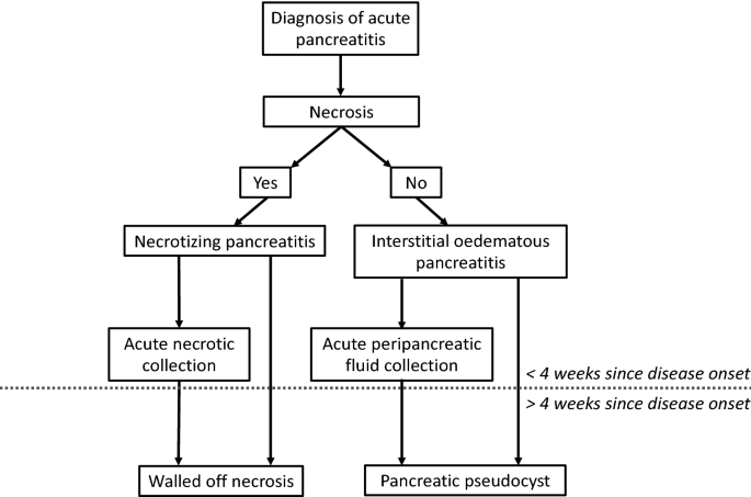 Ct Imaging Classification And Complications Of Acute Pancreatitis Springerlink