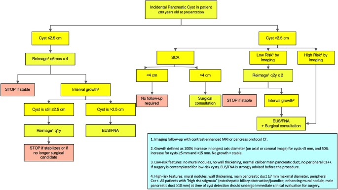 Pancreatic Cystic Neoplasms A Review Of Current Recommendations For Surveillance And Management Springerlink