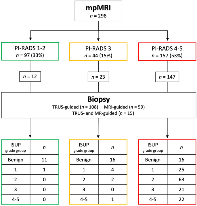 Results from a PI-RADS-based MRI-directed diagnostic pathway for  biopsy-naive patients in a non-university hospital | SpringerLink