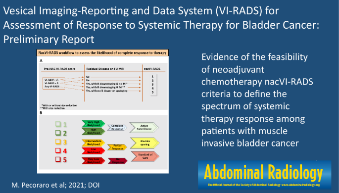 Vesical Imaging-Reporting and Data System (VI-RADS) for assessment of  response to systemic therapy for bladder cancer: preliminary report |  SpringerLink