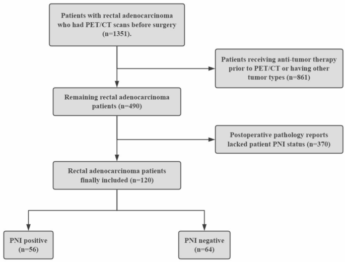 The value of radiomics and deep learning based on PET/CT in predicting ...
