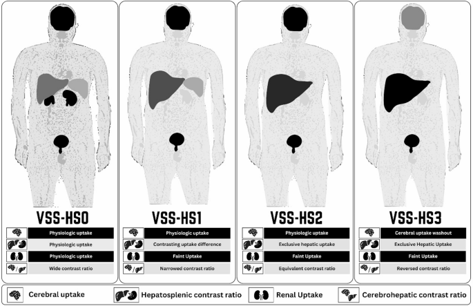 Hepatic superscan on [18F]FDG PET imaging: a systematic review ...