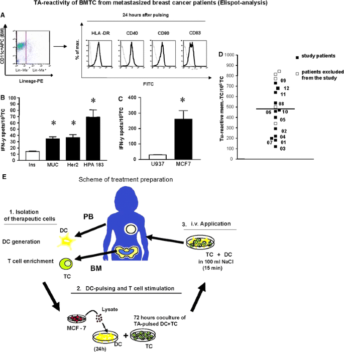 Treatment Of Advanced Metastasized Breast Cancer With Bone Marrow Derived Tumour Reactive Memory T Cells A Pilot Clinical Study Springerlink