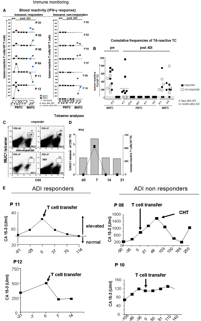 Treatment Of Advanced Metastasized Breast Cancer With Bone Marrow Derived Tumour Reactive Memory T Cells A Pilot Clinical Study Springerlink