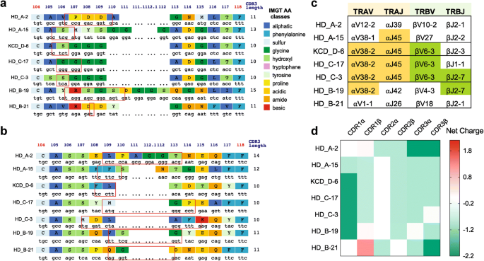 Preclinical Development Of T Cell Receptor Engineered T Cell Therapy Targeting The 5t4 Tumor Antigen On Renal Cell Carcinoma Springerlink Preclinical Development Of T Cell Receptor Engineered T Cell Therapy Targeting The 5t4 Tumor Antigen On Renal Cell Carcinoma Springerlink