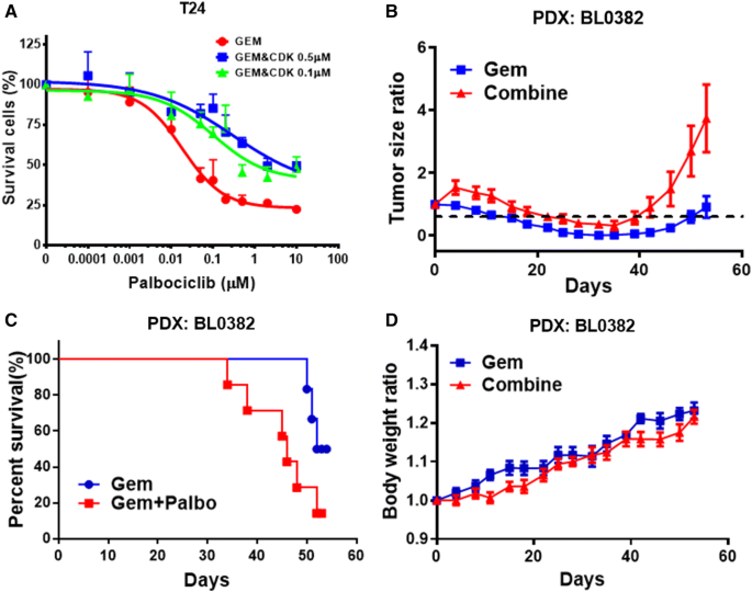 Combination Of Cyclin Dependent Kinase And Immune Checkpoint Inhibitors For The Treatment Of Bladder Cancer Springerlink