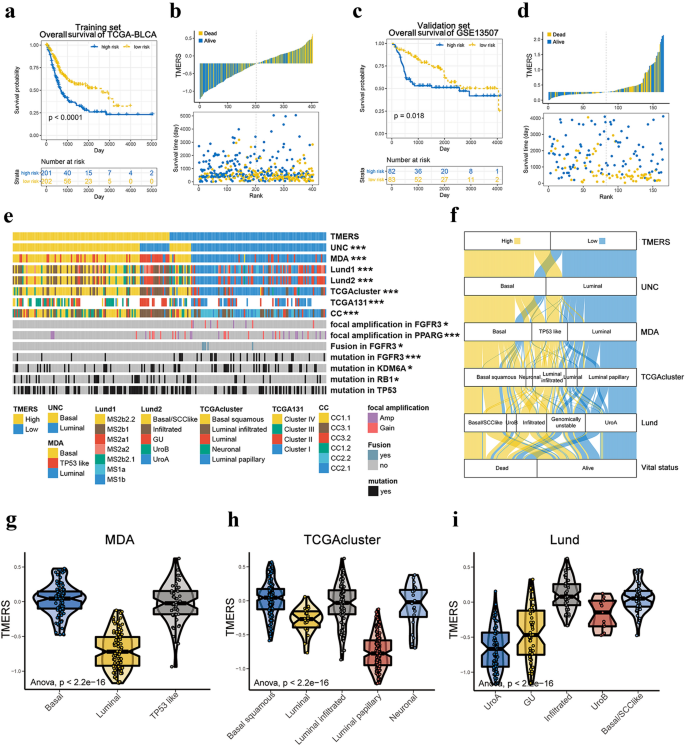 Tumour Microenvironment Tme Characterization Identified Prognosis And Immunotherapy Response In Muscle Invasive Bladder Cancer Mibc Springerlink