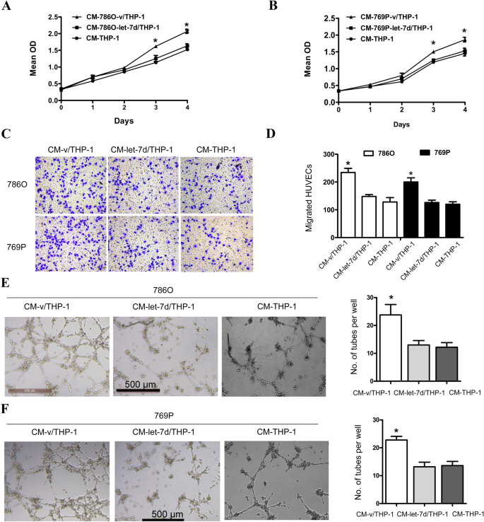 Let 7d Inhibits Intratumoral Macrophage M2 Polarization And Subsequent Tumor Angiogenesis By Targeting Il 13 And Il 10 Springerlink