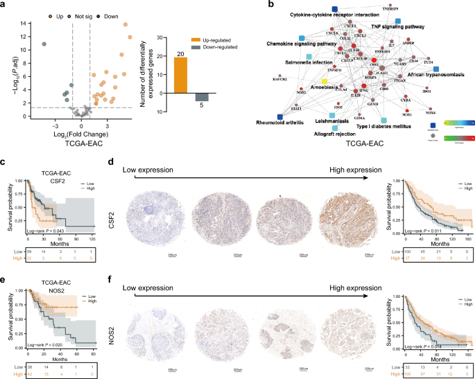 Distinct Immune Signatures For Predicting The Immunotherapy Efficacy Of 