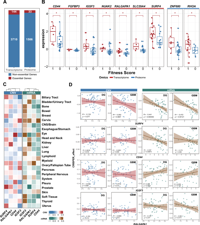 Identification of SURF4 and RALGAPA1 as promising therapeutic targets ...