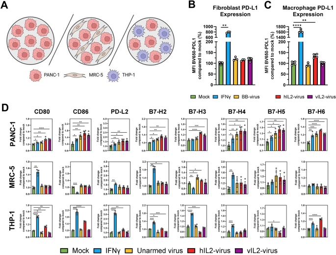 Oncolytic adenovirus encoding variant interleukin-2 combined with ...