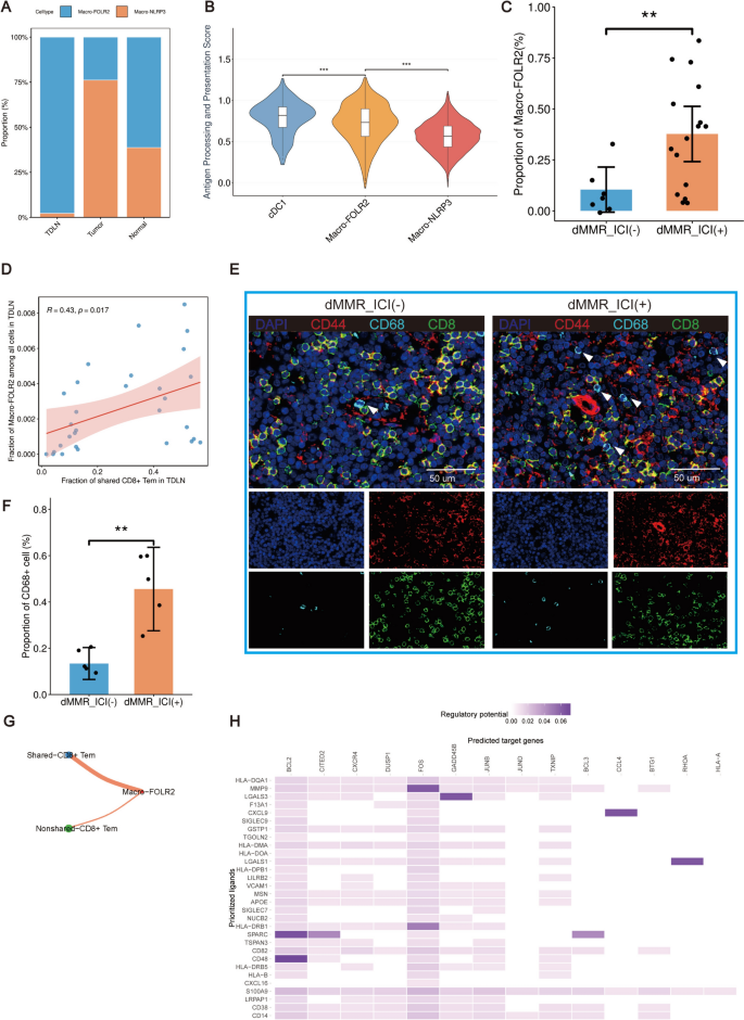 Tumor-draining lymph nodes respond to immune checkpoint inhibition and ...