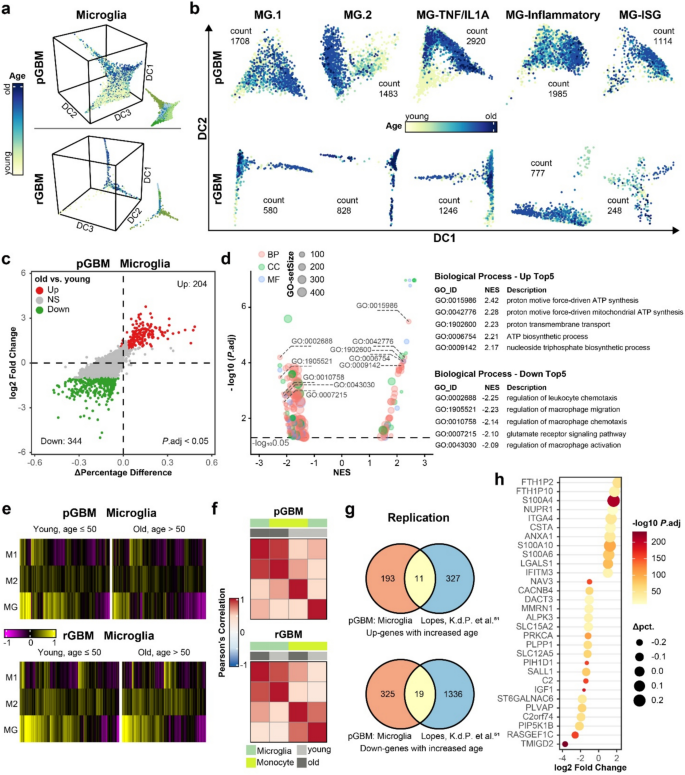 Integrative analysis of single-cell and bulk transcriptome data reveals ...