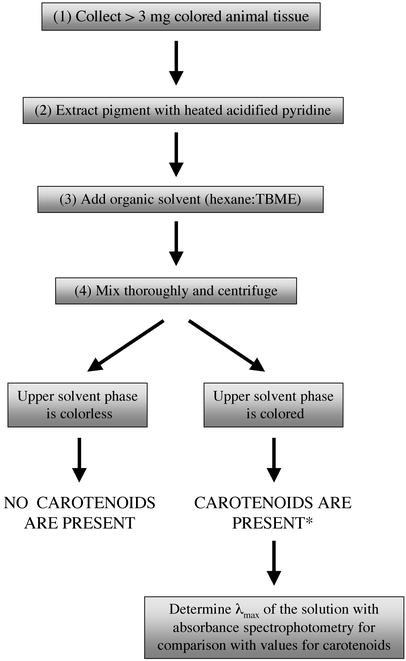 A Simple And Inexpensive Chemical Test For Behavioral Ecologists To Determine The Presence Of Carotenoid Pigments In Animal Tissues Springerlink