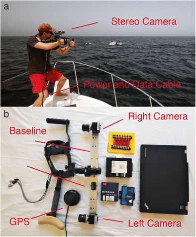 A 3D stereo camera system for precisely positioning animals in
