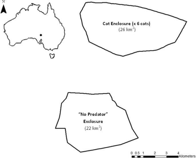 Exposure To A Novel Predator Induces Visual Predator Recognition By Naive Prey Springerlink Exposure To A Novel Predator Induces Visual Predator Recognition By Naive Prey Springerlink