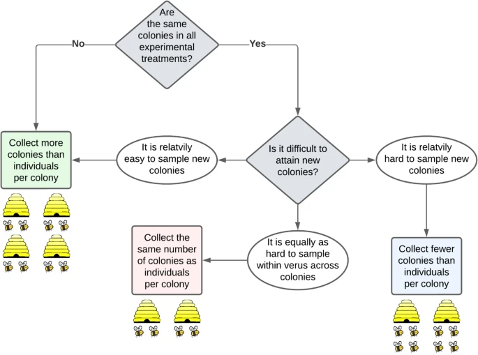 More individuals or more groups? Incorporating sampling effort, statistical power, and model accuracy when designing experiments