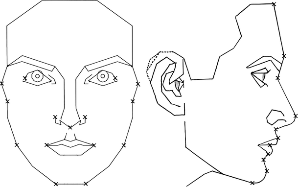 Marquardt's Phi Mask: Pitfalls of Relying on Fashion Models and the Golden  Ratio to Describe a Beautiful Face | SpringerLink