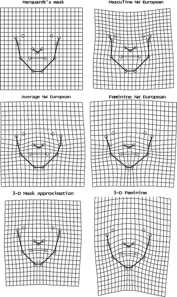 Marquardt S Phi Mask Pitfalls Of Relying On Fashion Models And The Golden Ratio To Describe A Beautiful Face Springerlink