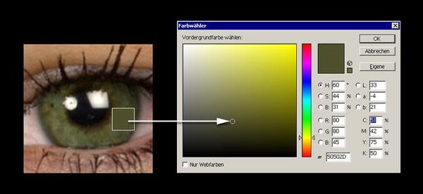 The Blue Eyes Stereotype Do Eye Color Pupil Diameter And Scleral Color Affect Attractiveness Springerlink