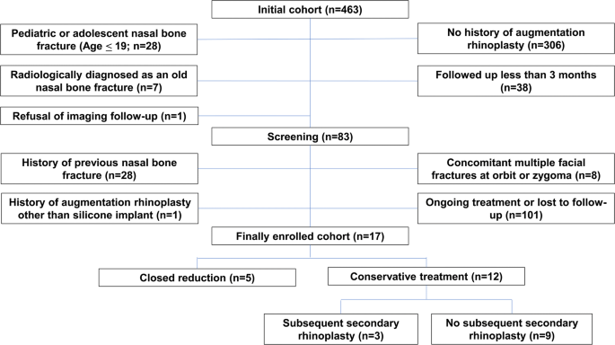 Clinical Analysis Of Nasal Bone Fracture In Patients Who Have Previously Undergone Dorsal Augmentation Using Silicone Implants A Pilot Study Springerlink