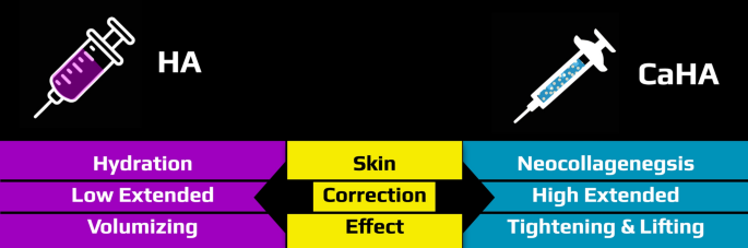 266 2021 2479 Fig1 HTML