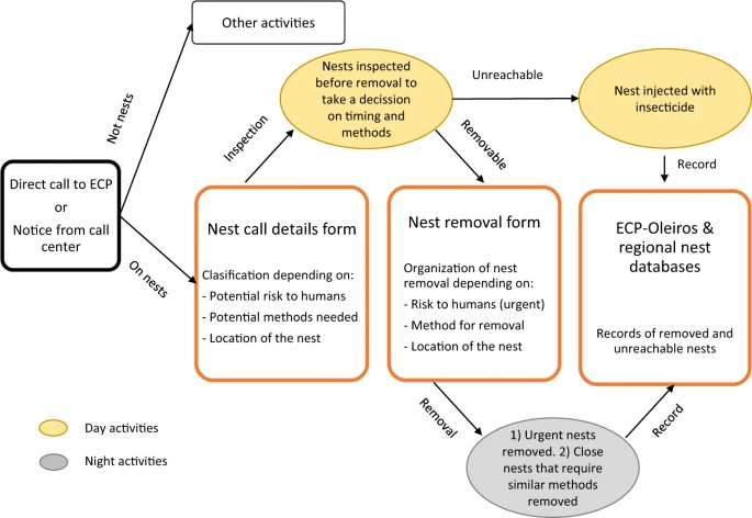 Decision-making diagram
