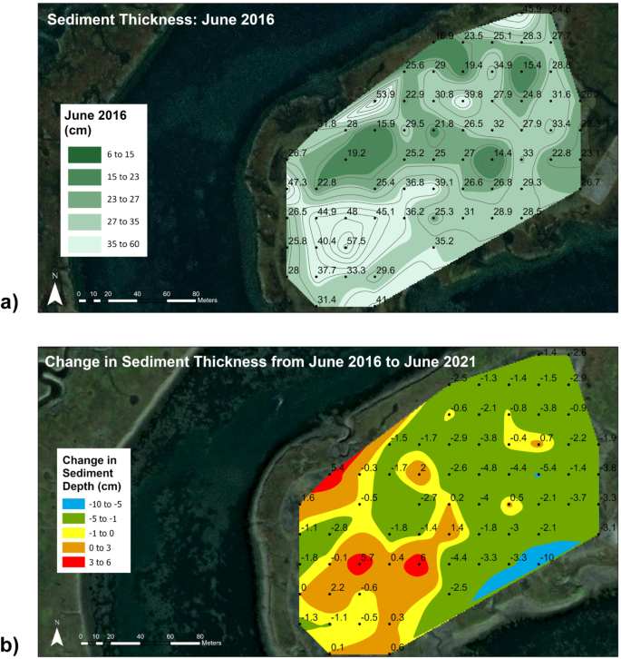 Increasing Salt Marsh Elevation Using Sediment Augmentation: Critical  Insights from Surface Sediments and Sediment Cores