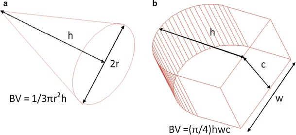 Breast And Tumour Volume Measurements In Breast Cancer Patients Using 3 D Automated Breast Volume Scanner Images Springerlink