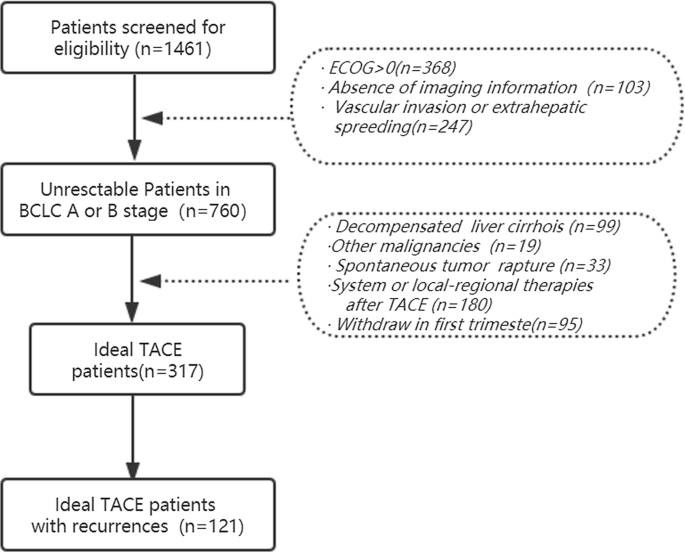 The “Six-and-Twelve” Score for Recurrent HCC Patients Receiving TACE: Does  it Still Work? | SpringerLink