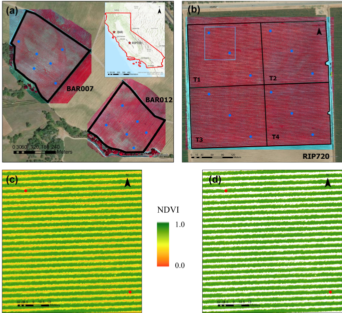 Webinar Vineyard monitoring with remote sensing data for