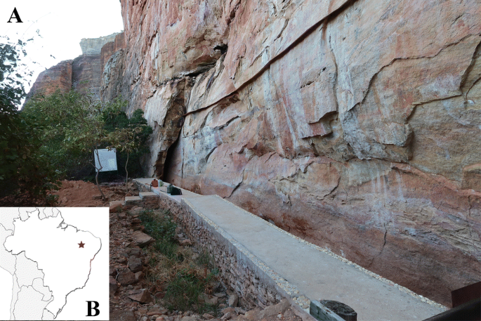 Rare Anatomic Variation On A 10 000 Year Old South American Skeleton The Case Of Iuzu Toca Dos Coqueiros Piaui State Brazil Springerlink Rare Anatomic Variation On A 10 000 Year Old South American Skeleton The Case Of Iuzu Toca Dos Coqueiros Piaui State Brazil Springerlink